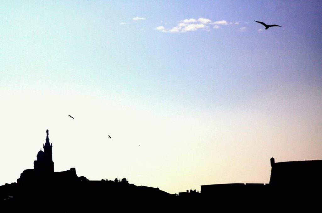 Un oiseau au premier plan et la silhouette/ombre de la Bonne-Mère, à Marseille, au fond.