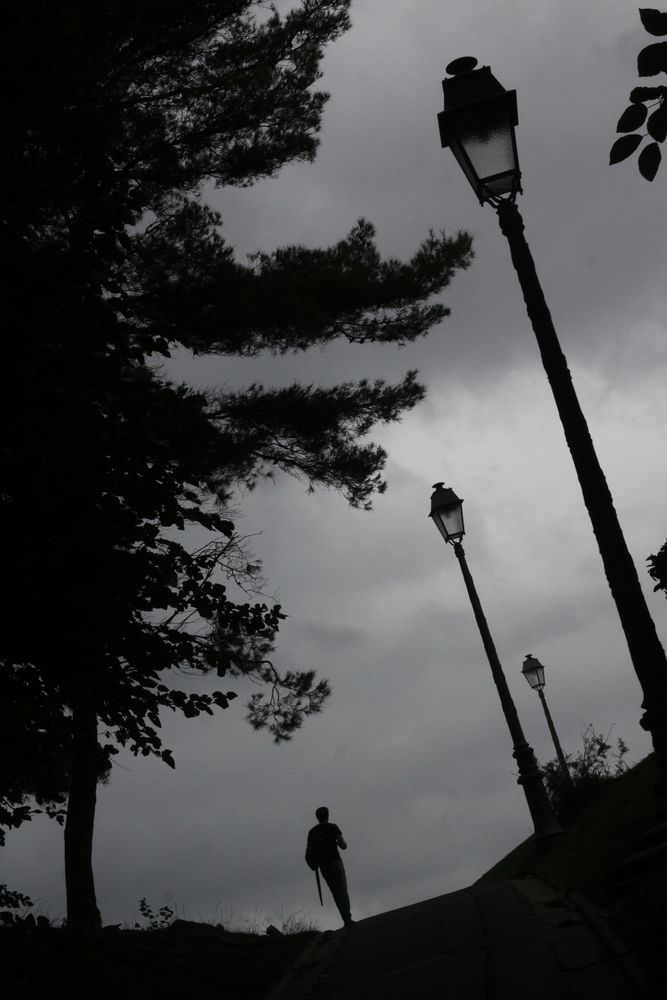 Un homme marche dans le jardin du Pharo à Marseille. Il est entouré d'arbres et de lampadaires.