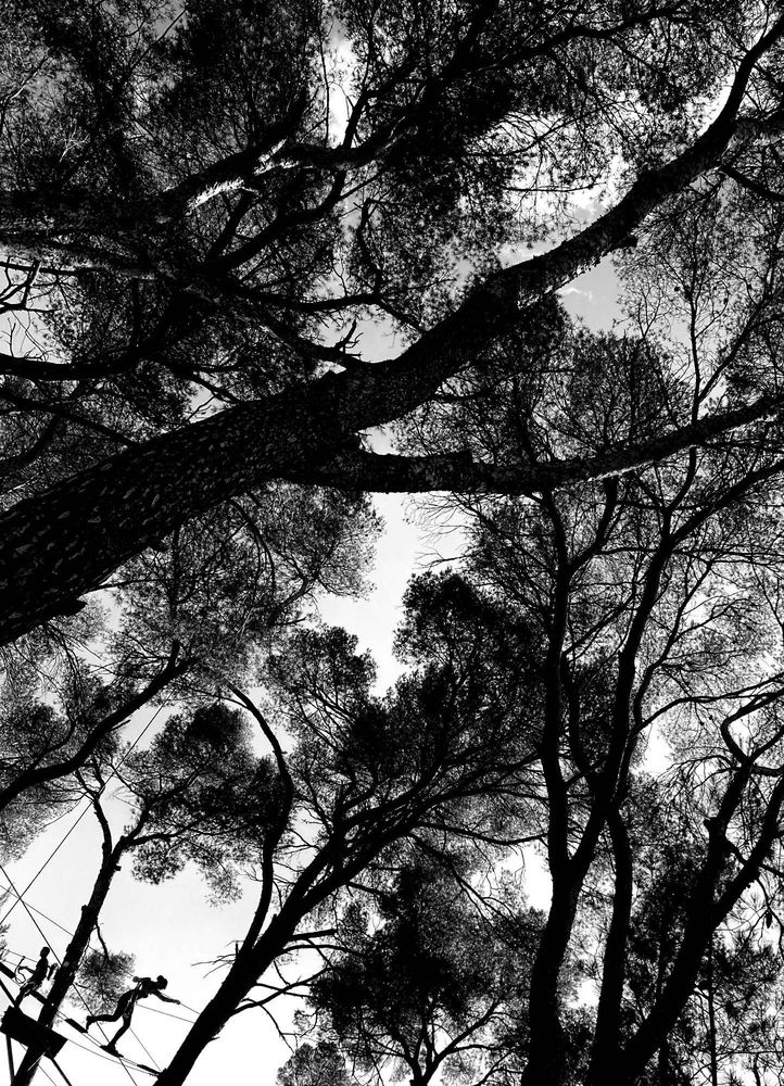 Deux personnes font de l'accrobranches.