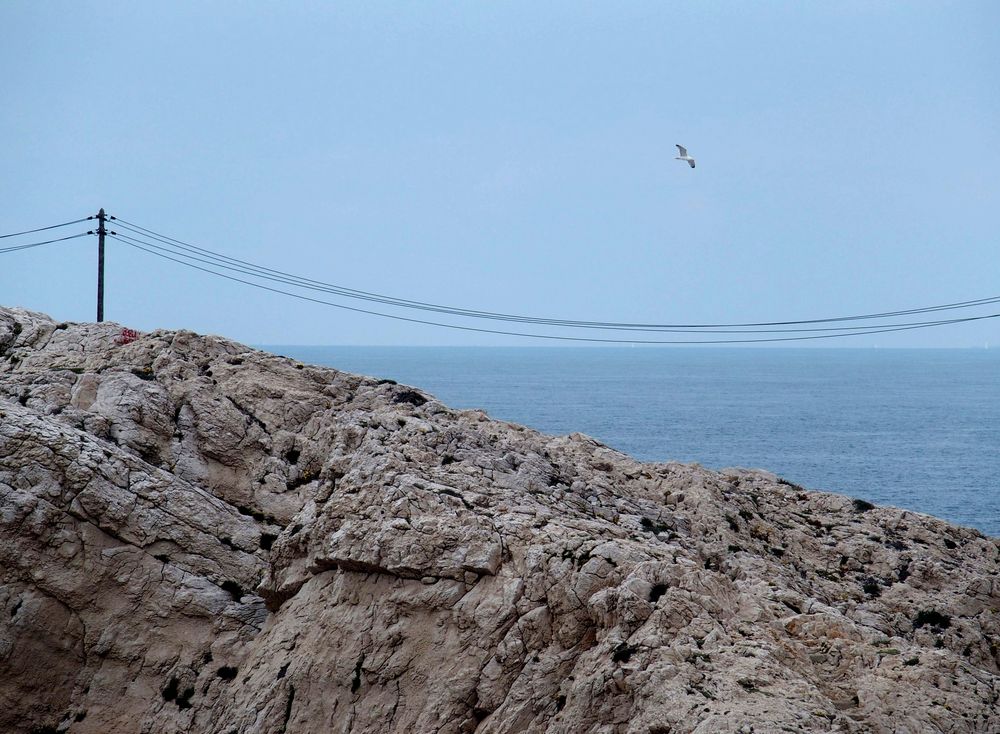 On voit un morceau de roches aux Goudes, des fils électriques et un poteau. Un oiseau qui vole et la mer.