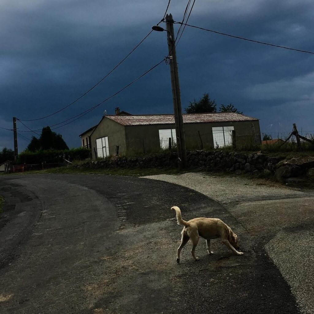 Le chien, le ciel et les volets fermés à Malesveilles.