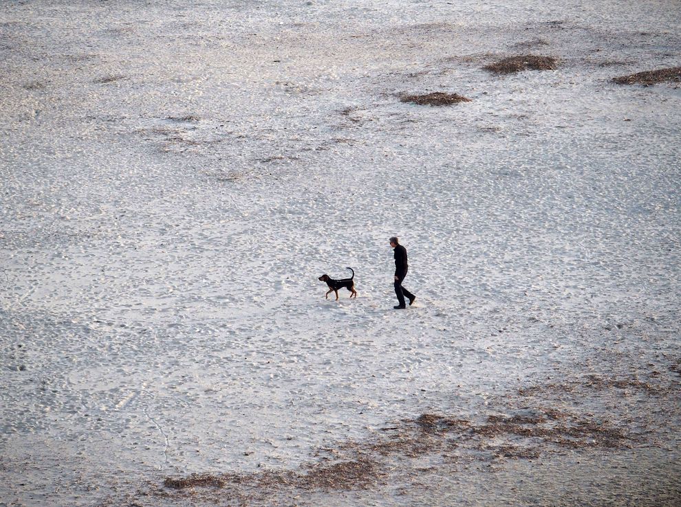 Sur la plage du Prophète à Marseille, un homme se promène avec son chien.