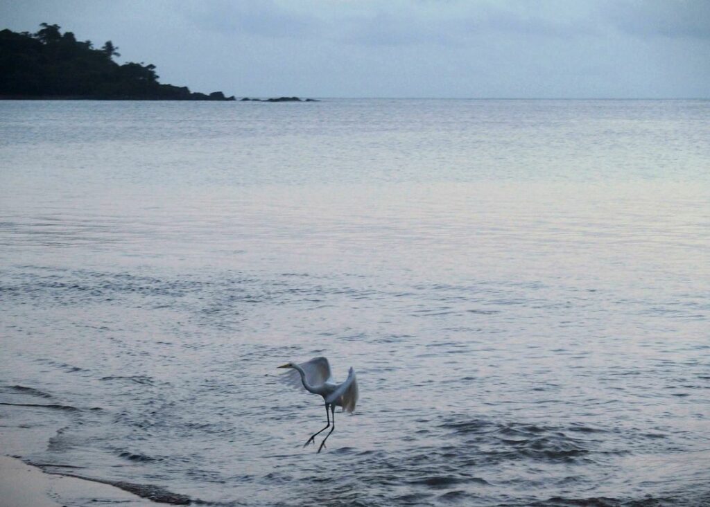 Sur une plage de Cayenne, en Guyane. À l'heure où le soleil commence à se lever.
