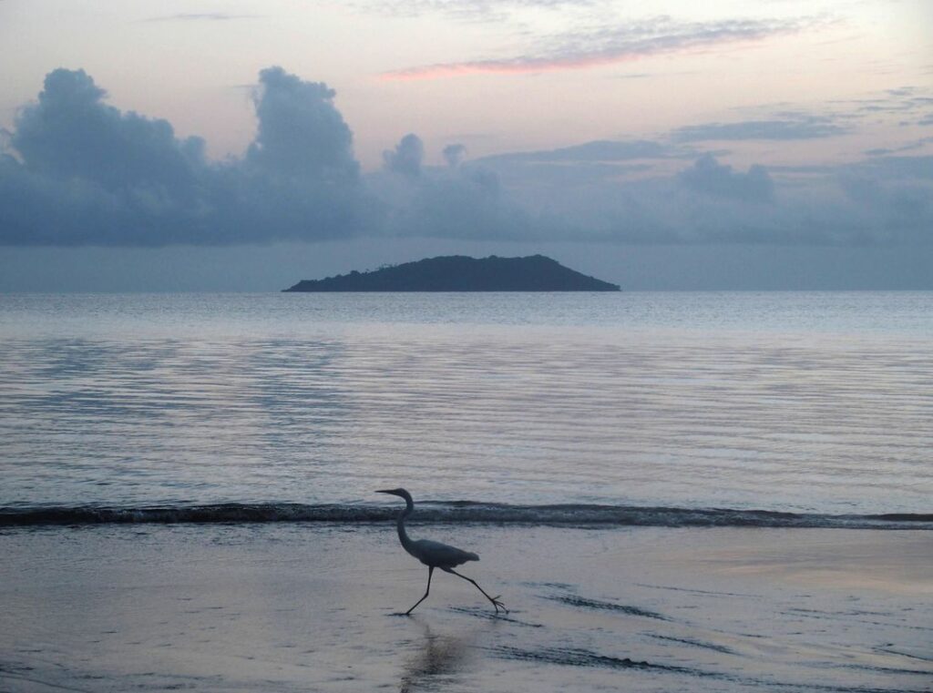 Sur une plage de Cayenne, en Guyane. À l'heure où le soleil ne va pas tarder à se lever.